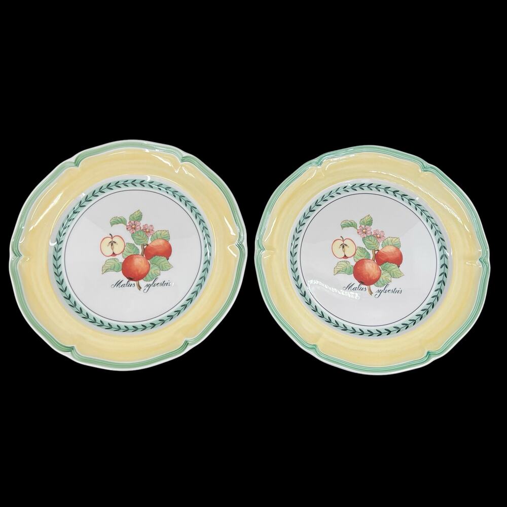 Villeroy & Boch French Garden Valence dinner plates